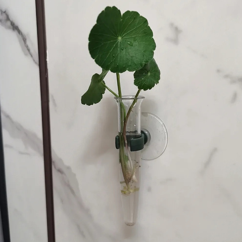 11cm Çiçek Su Tüpleri Plastik  - Nutrition & Fitness Class incelemesi ve fiyatı